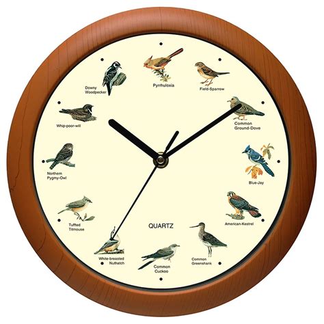 Proper Ways to Clock Birds .